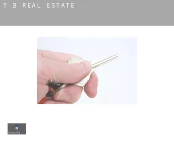 T B  real estate