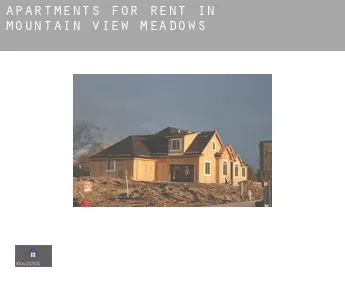 Apartments for rent in  Mountain View Meadows