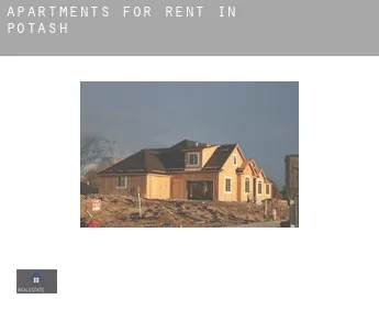 Apartments for rent in  Potash
