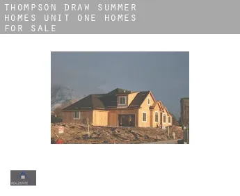 Thompson Draw Summer Homes Unit One  homes for sale