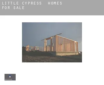 Little Cypress  homes for sale