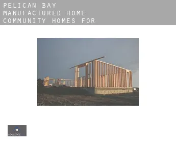 Pelican Bay Manufactured Home Community  homes for sale