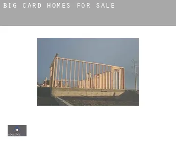 Big Card  homes for sale