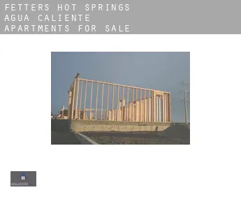 Fetters Hot Springs-Agua Caliente  apartments for sale