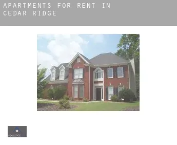 Apartments for rent in  Cedar Ridge