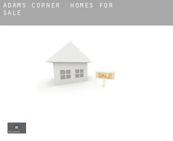 Adams Corner  homes for sale