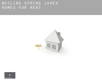 Boiling Spring Lakes  homes for rent