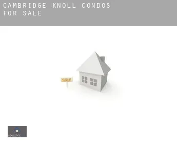 Cambridge Knoll  condos for sale