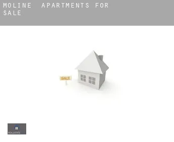 Moline  apartments for sale