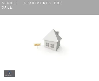 Spruce  apartments for sale