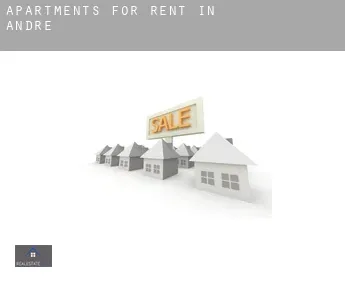 Apartments for rent in  Andre