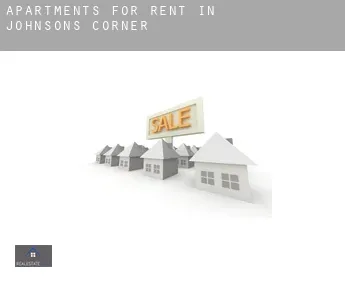 Apartments for rent in  Johnsons Corner