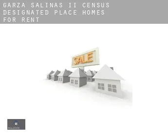 Garza-Salinas II  homes for rent