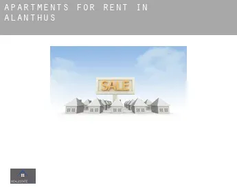 Apartments for rent in  Alanthus