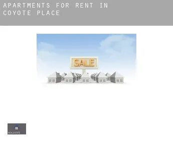 Apartments for rent in  Coyote Place