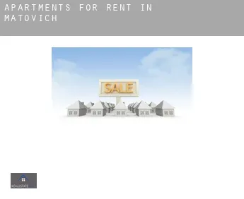 Apartments for rent in  Matovich