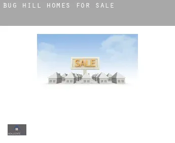 Bug Hill  homes for sale