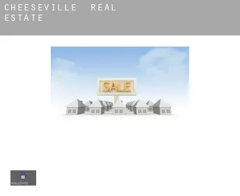 Cheeseville  real estate