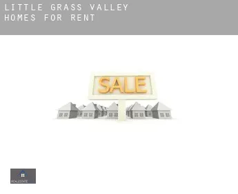 Little Grass Valley  homes for rent