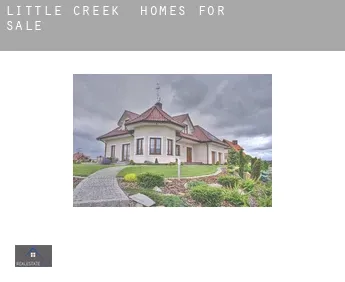 Little Creek  homes for sale