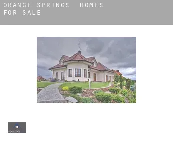 Orange Springs  homes for sale