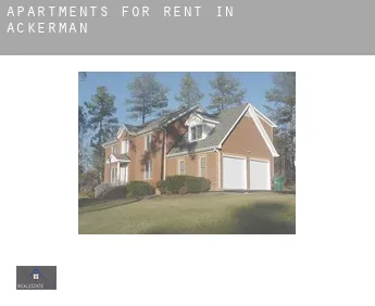 Apartments for rent in  Ackerman