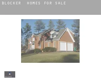 Blocker  homes for sale