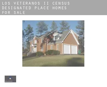 Los Veteranos II  homes for sale