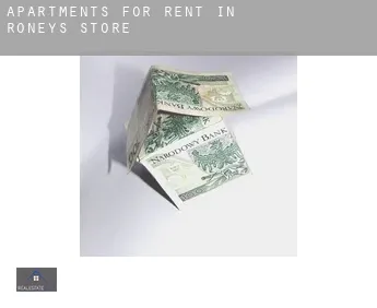 Apartments for rent in  Roneys Store