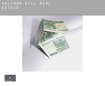 Halihan Hill  real estate