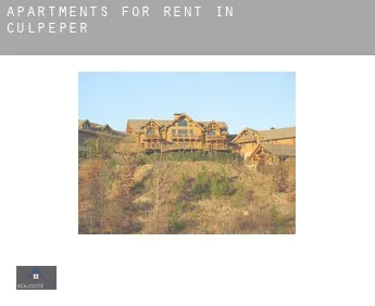 Apartments for rent in  Culpeper