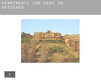 Apartments for rent in  Katsbaan