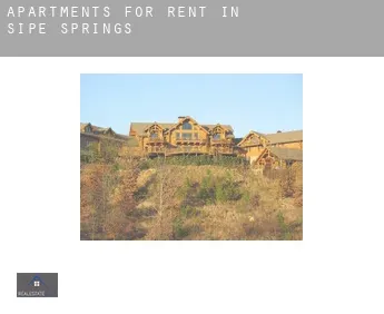 Apartments for rent in  Sipe Springs