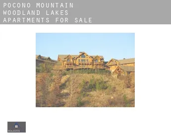 Pocono Mountain Woodland Lakes  apartments for sale
