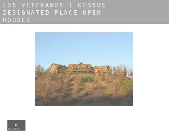 Los Veteranos I  open houses
