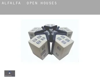 Alfalfa  open houses