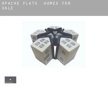 Apache Flats  homes for sale