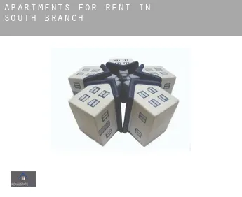 Apartments for rent in  South Branch