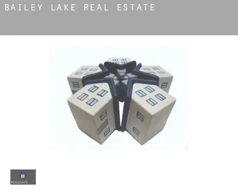 Bailey Lake  real estate