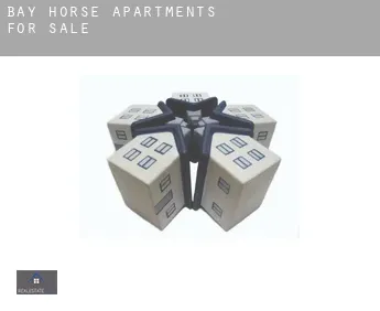 Bay Horse  apartments for sale