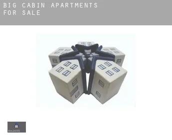 Big Cabin  apartments for sale