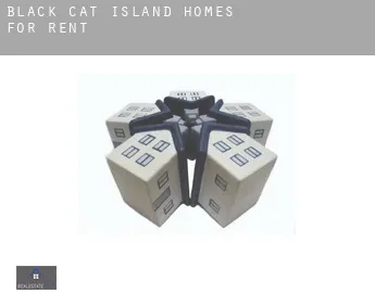 Black Cat Island  homes for rent