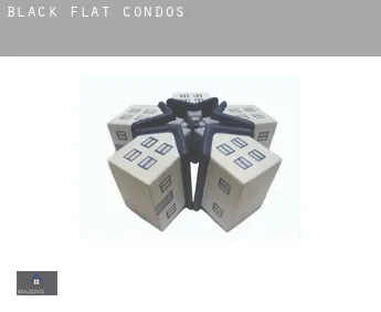 Black Flat  condos