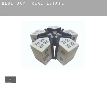 Blue Jay  real estate