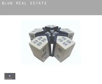 Blun  real estate
