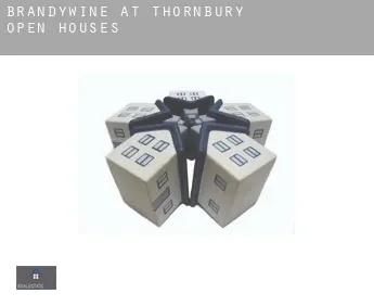 Brandywine at Thornbury  open houses