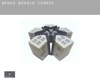 Broad Branch  condos