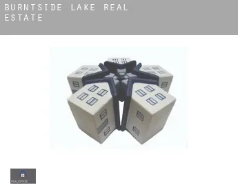 Burntside Lake real estate
