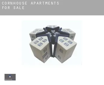 Cornhouse  apartments for sale