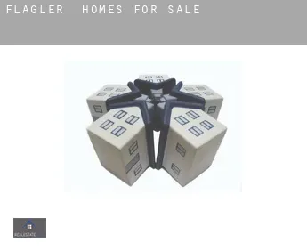 Flagler  homes for sale
